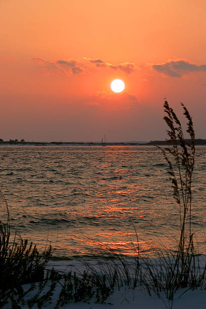 Seaoats and Sunset stock photo