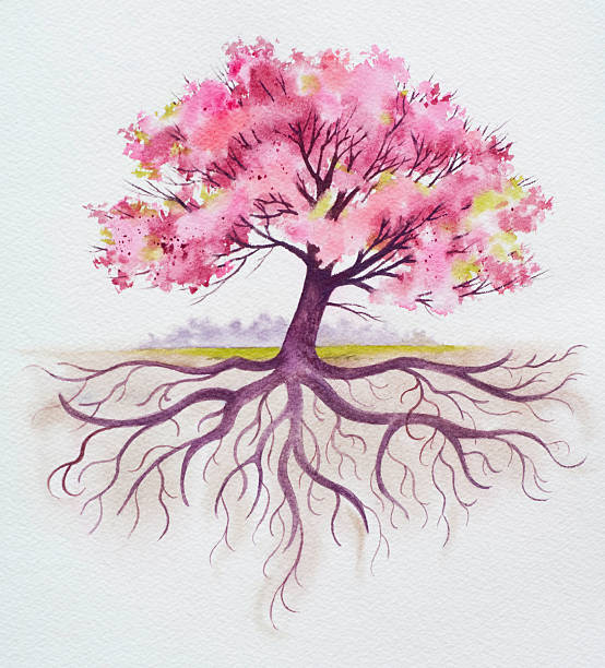 illustrazioni stock, clip art, cartoni animati e icone di tendenza di famiglia con le radici dell'albero - tree root family tree watercolor painting