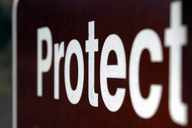 istock a leterring sign at national park : ' protect ' 186805624