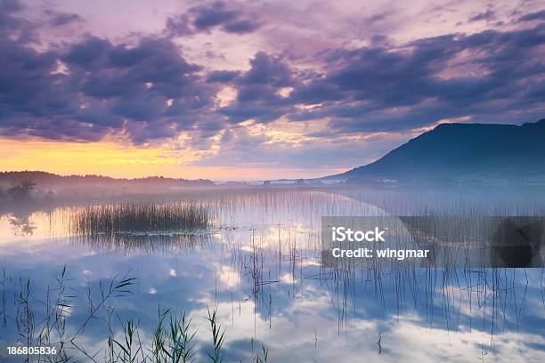 Мирный Пейзаж С Reed На Озеро Banwaldsee — стоковые фотографии и другие картинки Альгой - Альгой, Бавария, Без людей