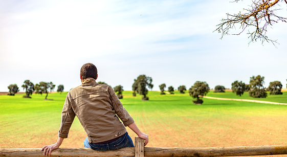 Castilla la Mancha Spain. Panoramic rear view and waist-up shot of a man sitting on a wooden fence, contemplating a harmonious landscape of green meadows and holm oak trees.