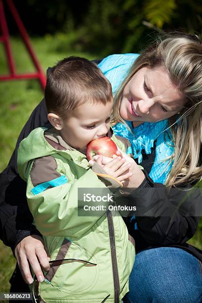 임신 구슬눈꼬리 And Son In 과수원 식사 사과나무 가을에 대한 스톡 사진 및 기타 이미지 - 가을, 가족, 건강한 생활방식
