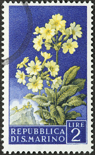 istock yellow flower on old stamp 186806380