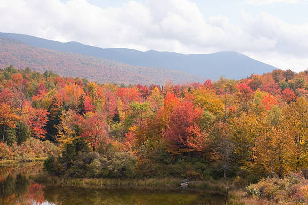 istock Green Mountain Colors 186806386