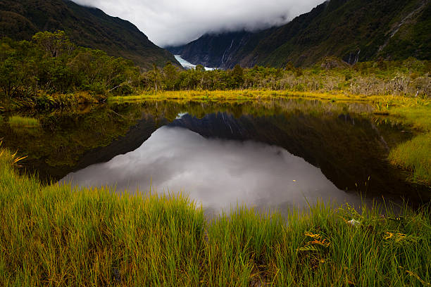 Franz Josef Glacier stock photo