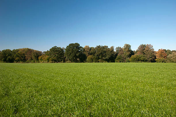 Rural spring setting stock photo