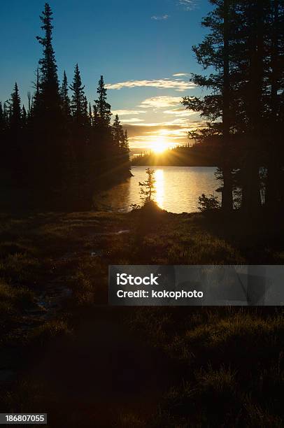 Bosque Lake Sunrise Pasto Con Resplandeciente Rocío En Primer Plano Foto de stock y más banco de imágenes de Aislado