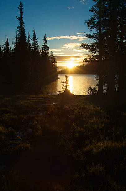 istock Forest lake sunrise. Grasses with Shimmering Dew in Foreground 186807055