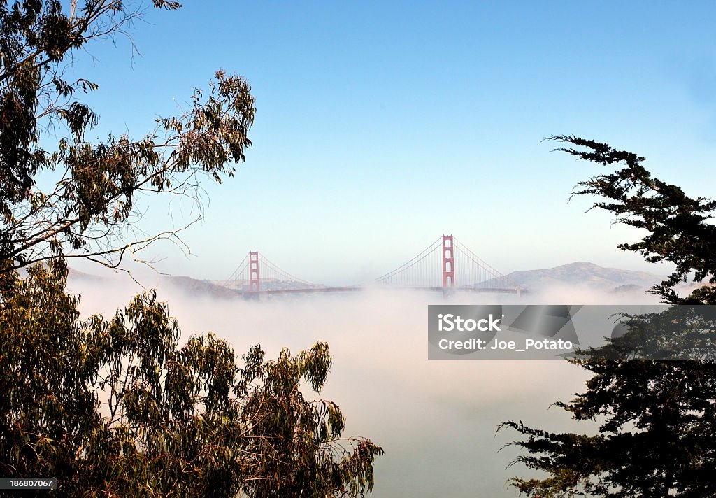 Enevoada Golden Gate - Royalty-free Azul Foto de stock