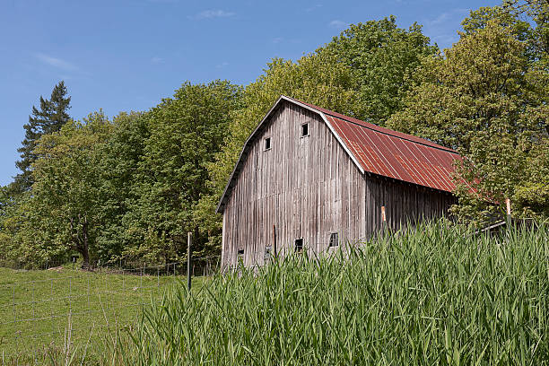 Old Barn – Foto