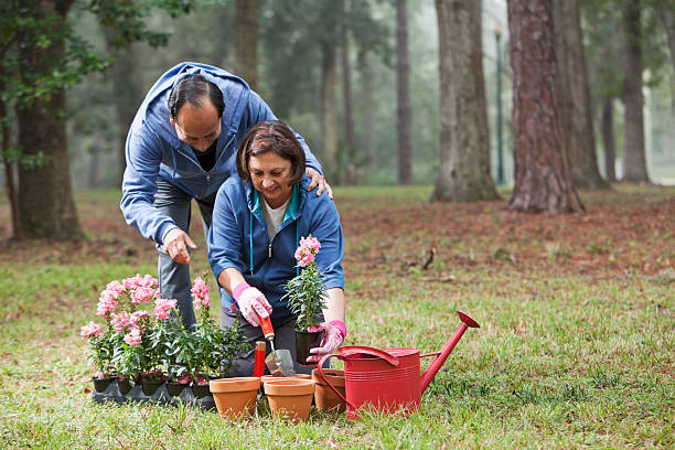 Hispanic couple gardening