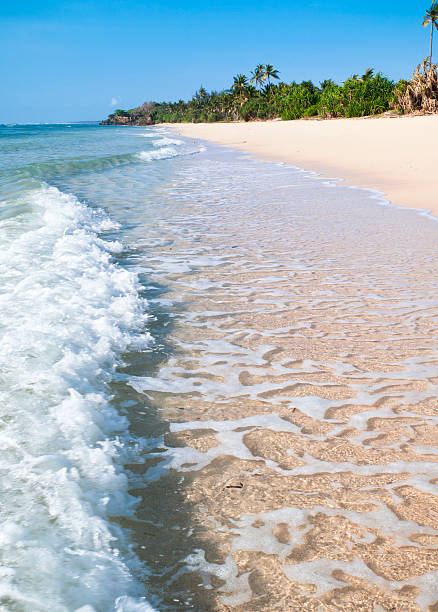 playa de kenia - clear sky vacations vertical saturated color fotografías e imágenes de stock