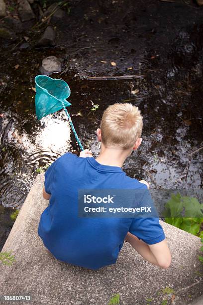 Boy With Net And Pond Stock Photo - Download Image Now - Aerial View, Blond Hair, Boys