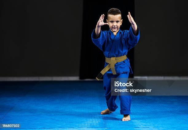 Little Boy Ejercicio Aikido Foto de stock y más banco de imágenes de Actividades recreativas - Actividades recreativas, Aikido, Artes marciales