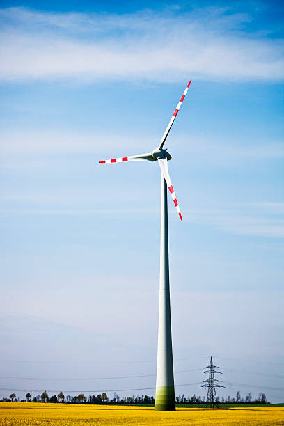 풍력발전기 on 카놀라 필드 - wind turbine austria field yellow 뉴스 사진 이미지