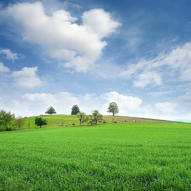 la campagna - farm scenics landscape alternative energy foto e immagini stock