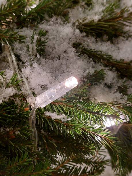 istock Garland glows on the New Year tree 1868085182