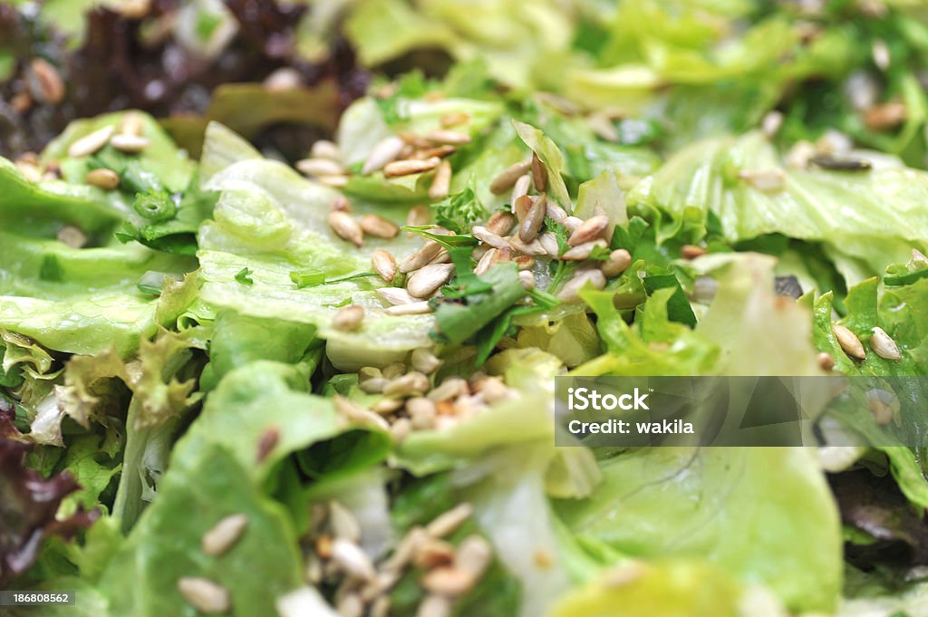 Salate - Lizenzfrei Ansicht aus erhöhter Perspektive Stock-Foto