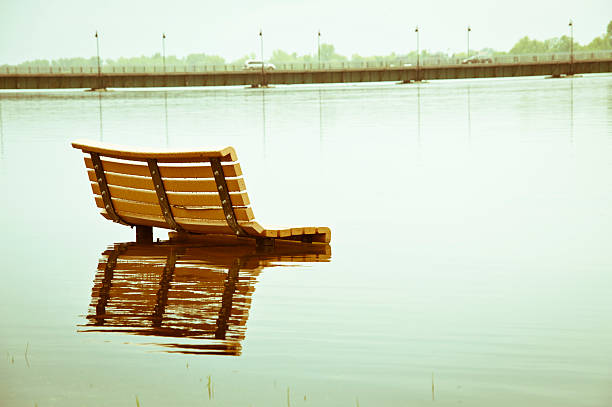 Trees and benches under water on the banks of the Rhine near Oestrich-Winkel/Germany during flooding