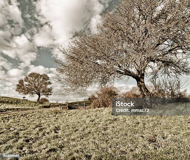 Fairy Tail Landscape Stock Photo - Download Image Now - Agricultural Field, Agriculture, Beauty In Nature