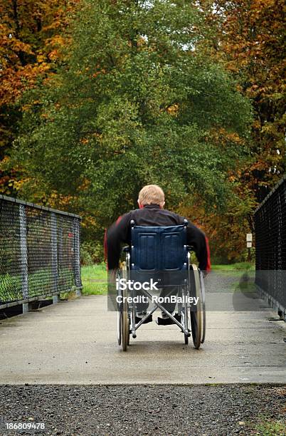 Sendero Accesible Para Personas Con Discapacidades Foto de stock y más banco de imágenes de Baranda - Baranda, Camino, Carretera de tierra