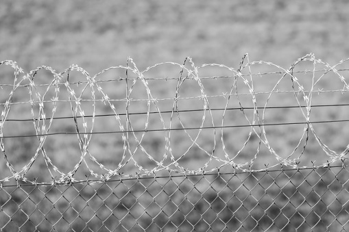 Fence with a roll of barbed wire on top at an international border