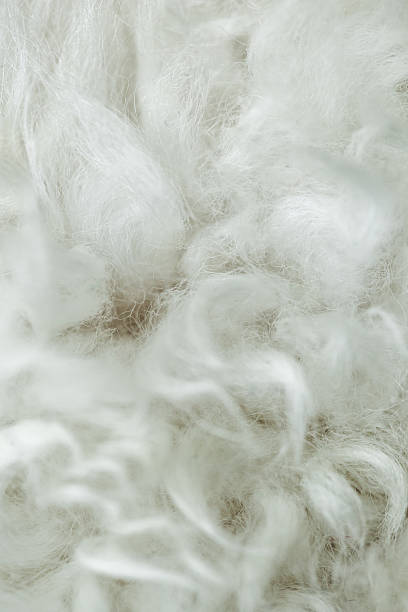 istock Closeup of Lambs Wool 186809608