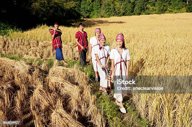 Rural Thailand Rice Harvest Time Stock Photo - Download Image Now - Abundance, Adolescence, Adult