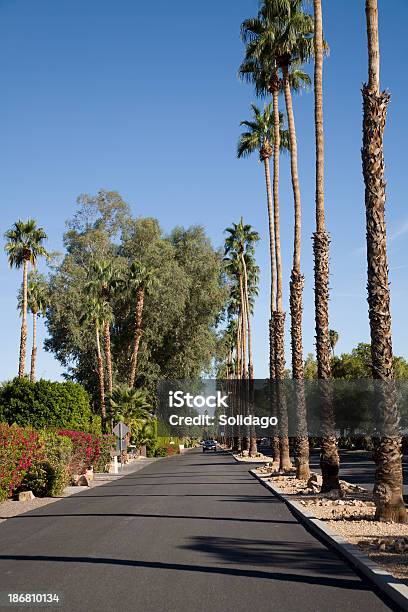 Alberato Street Nel Centro Storico Di Las Palmas Palm Springs - Fotografie stock e altre immagini di California