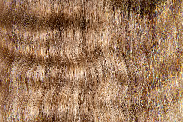 istock Natural blonde hair 186810143
