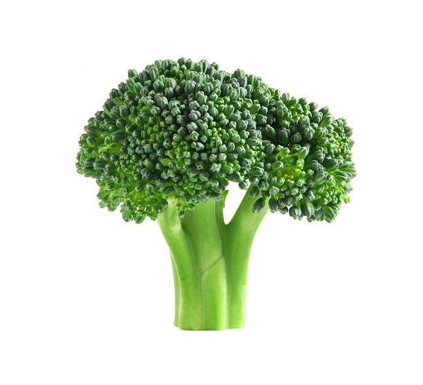 브로콜리 - broccoli vegetable food isolated 뉴스 사진 이미지