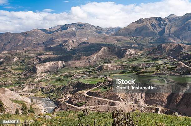 Colca Canyon In Peru Stockfoto und mehr Bilder von Anden - Anden, Berg, Braun