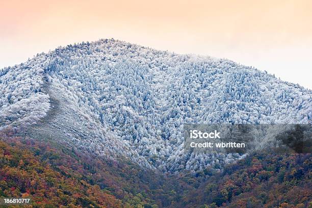 Photo libre de droit de De Neige Automne Dans Les Great Smoky Mountains banque d'images et plus d'images libres de droit de Gatlinburg - Gatlinburg, Arbre, Automne