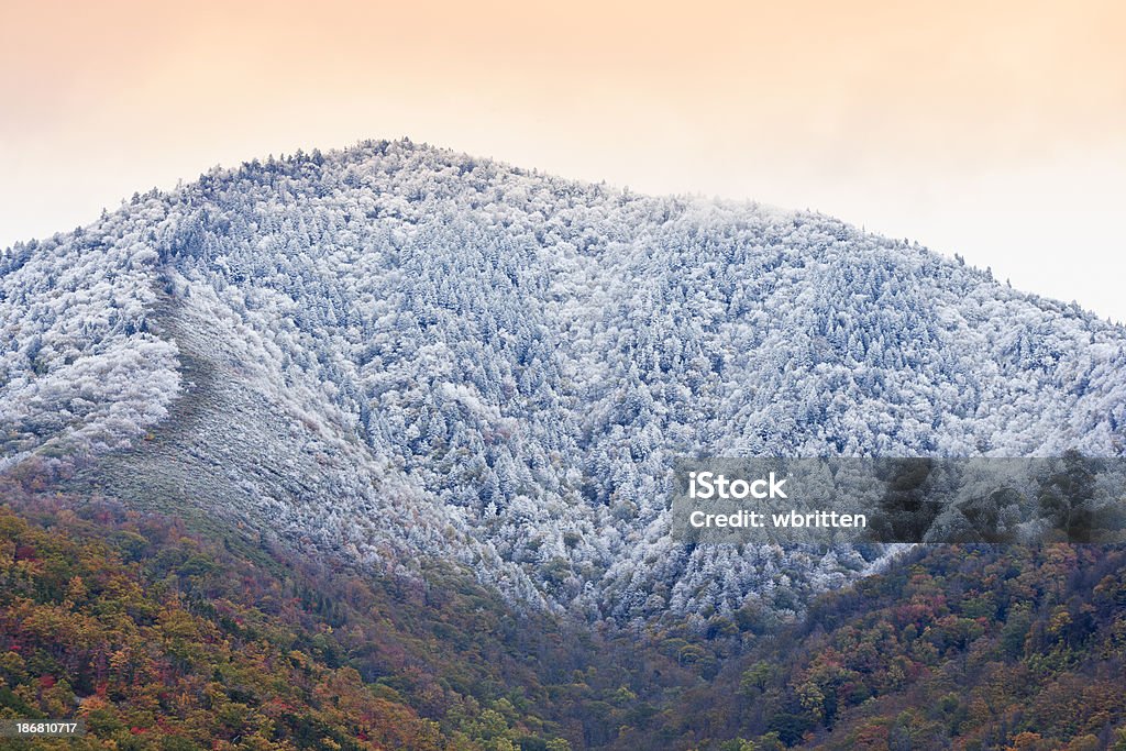 추절 눈송이가 휘날립니다 Smoky Mountains - 로열티 프리 개틀린버그 스톡 사진