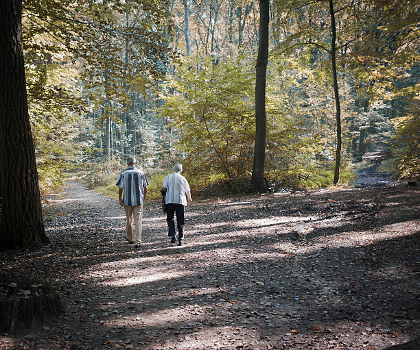 istock Brother and sister walking in the forest 186811216