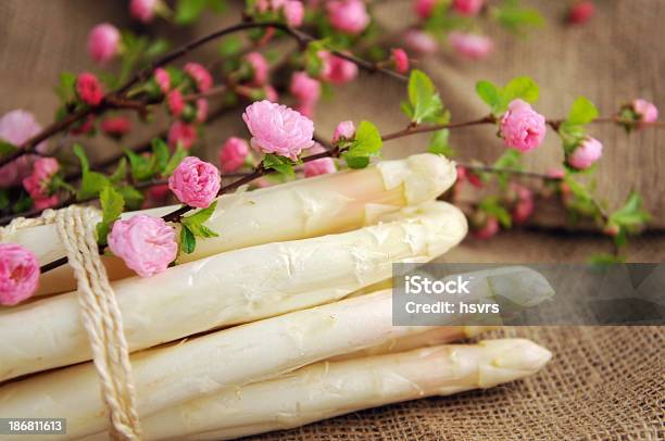 Bundle Fresh Asparagus On Burlap Sack With Blooming Almond Stock Photo - Download Image Now