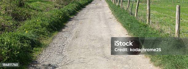 Camino Foto de stock y más banco de imágenes de Accesibilidad - Accesibilidad, Baranda, Bastón de senderismo