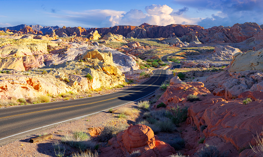 Road in Valley of Fire, Nevada