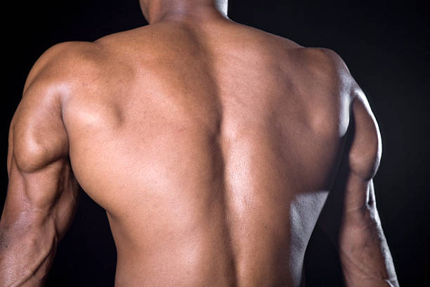 arm and back of male bodybuilder color stock photo