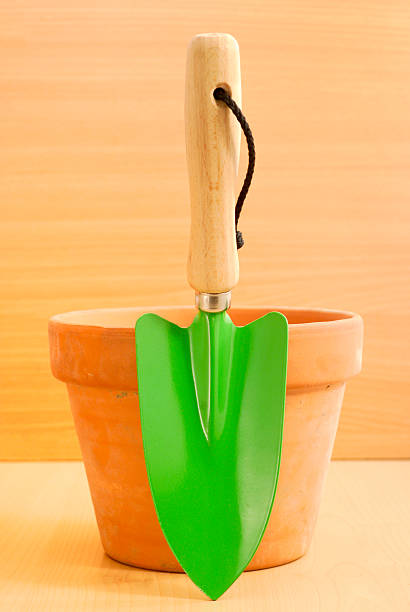 istock Trowel and Plant Pot 186812204