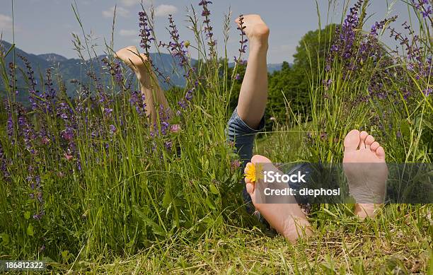 Босиком On A Mountain Meadow — стоковые фотографии и другие картинки С поднятыми ногами - С поднятыми ногами, Трава, Активный образ жизни