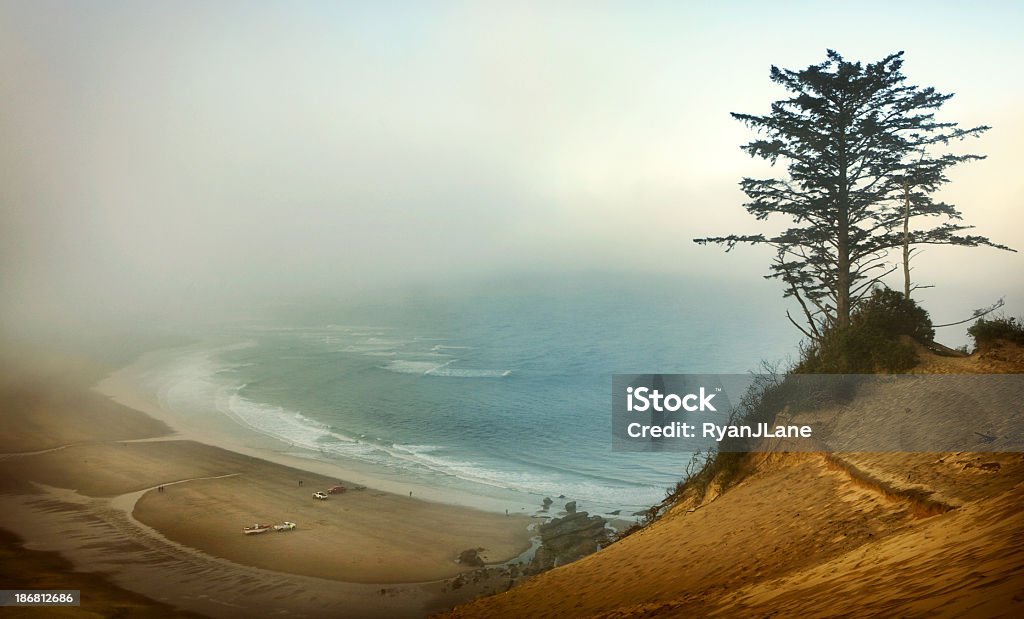 Costa de Oregon in the Fog - Foto de stock de Areia royalty-free