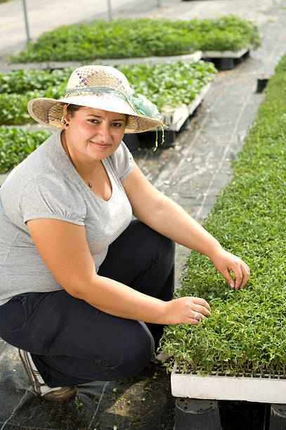 istock Woman Agricultural Engineer 186812831