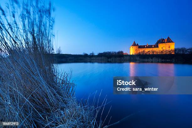 Medieval Castle At Dawn Muiderslot Muiden Los Países Bajos Foto de stock y más banco de imágenes de Agua