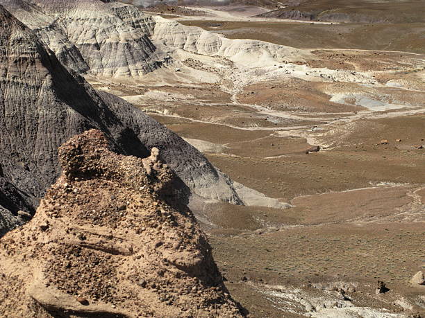 istock Painted Desert Landscape Arizona 186812968