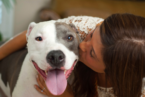 Young hispanic woman kissing her pit bull terrier.