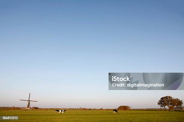 Niederländische Landschaft Stockfoto und mehr Bilder von Das Leben zu Hause - Das Leben zu Hause, Domestizierte Tiere, Feld