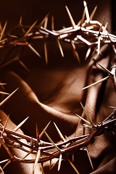 istock Crown of Thorns on Brown Background 186813834