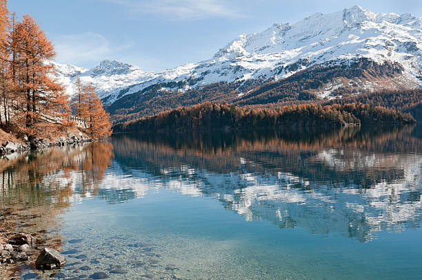 lago silvaplana cerca de st. moritz - silvaplanersee fotografías e imágenes de stock