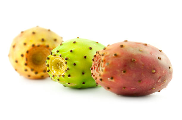 cactus pears three cactus pears on whitefruits and vegetables collection: prickly pear cactus stock pictures, royalty-free photos & images